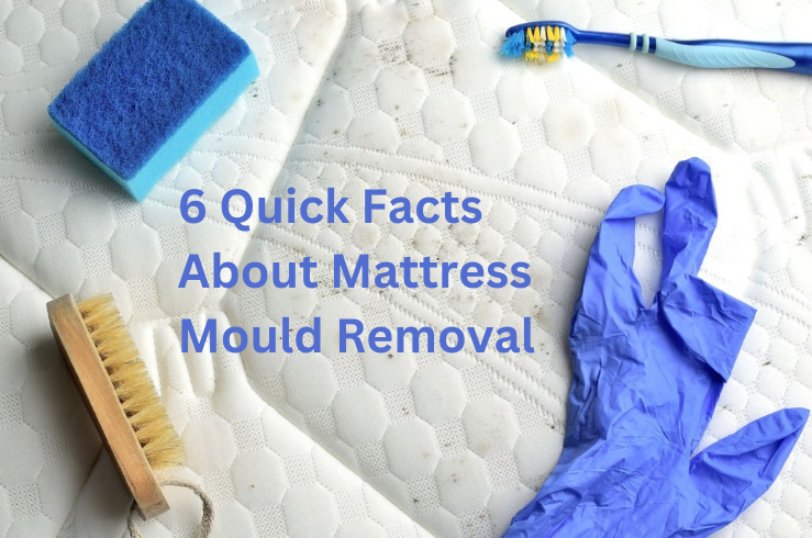 Mattress Mould Removal