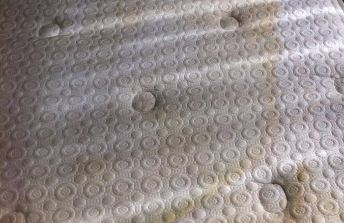Mattress Steam Cleaning Pacific Pines