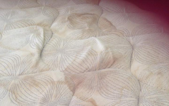 Mattress Steam Cleaning Booval