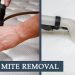 How to Remove Dust Mites from A Mattress