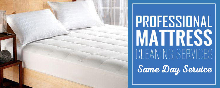 Same Day Professional Mattress Cleaning Service