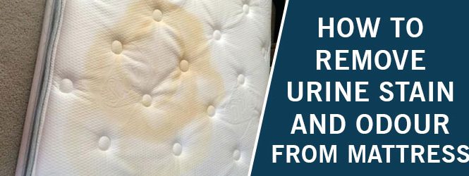 How to Remove Urine Stain and Odour From Mattress
