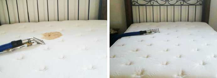 Mattress Stain Removal Services