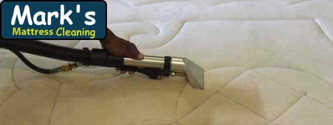 Professional Mattress Cleaning Service