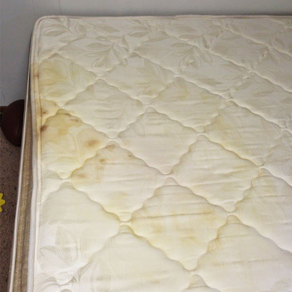 Remove Urine Stains From a Mattress