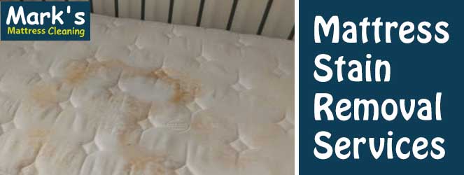 Mattress Stain  Removal