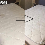 Professional Mattress Steam Cleaning Service